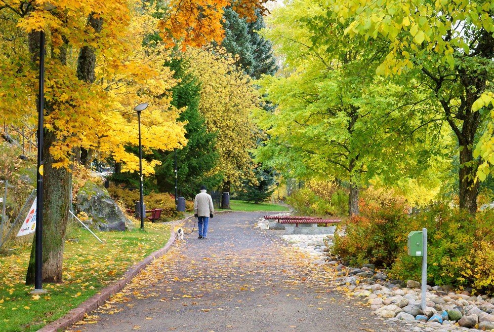 Photograph by Елена Шмарловская