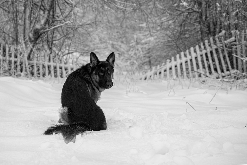 "Заходи если что... "