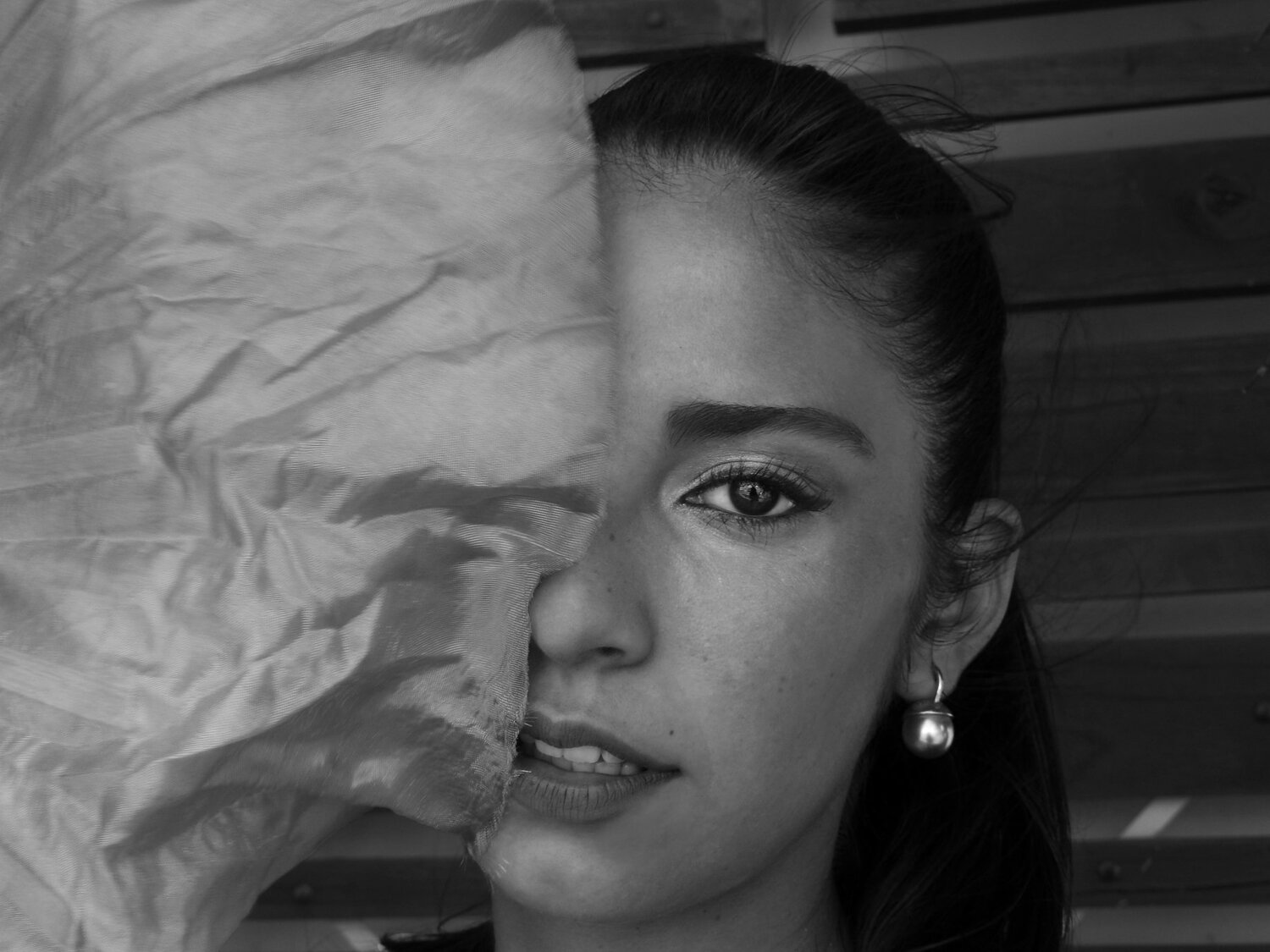 Photo #4371177