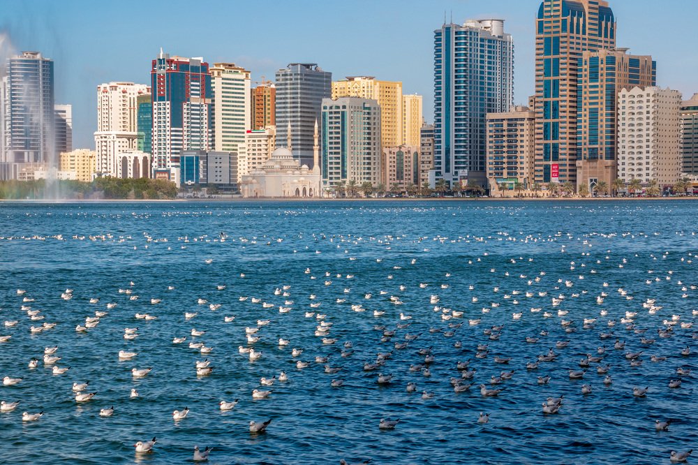 Спокойствие