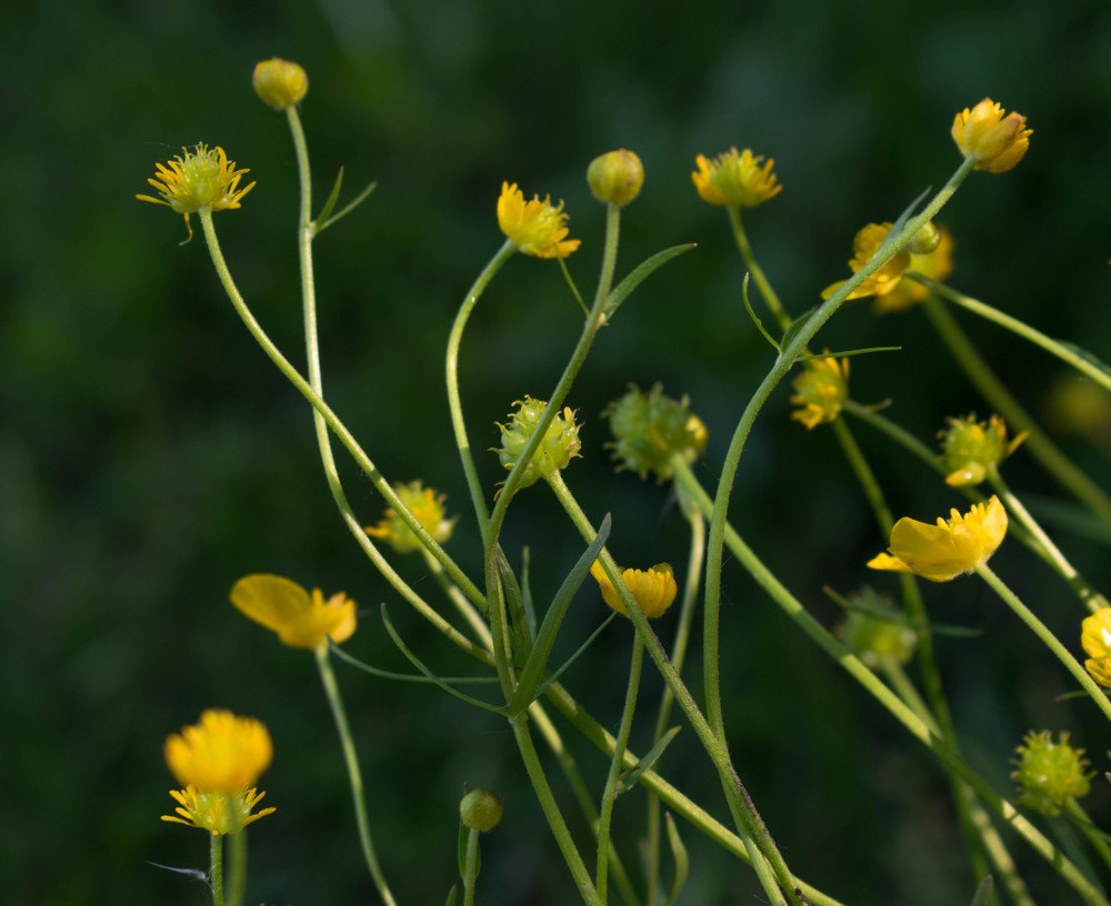 Photograph by Ruslana Tats