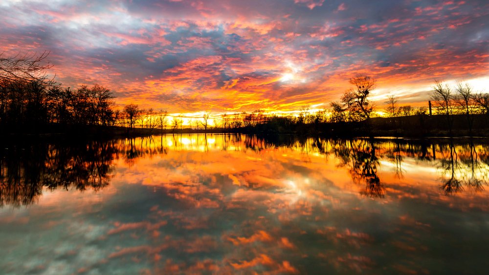 Фотография автора BRANKO BALAŠKO