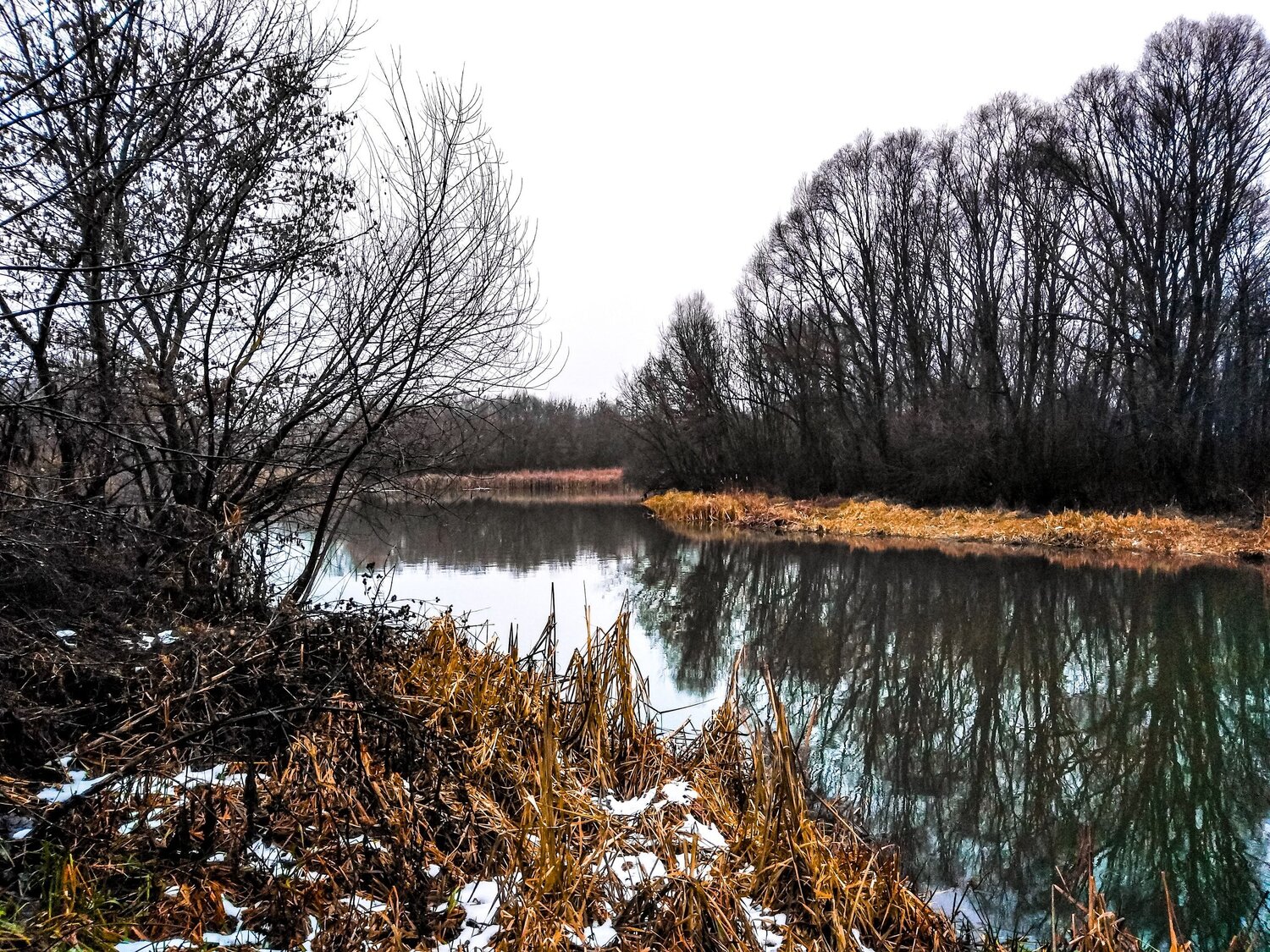 Photo #4371267