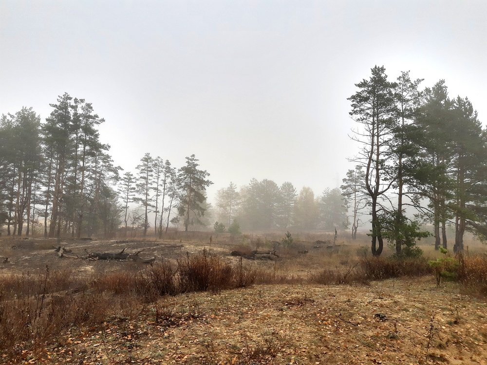 Осенний пейзаж