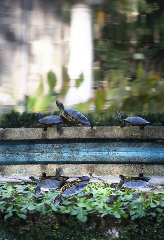 Photograph by Ekaterina Gokceoglu