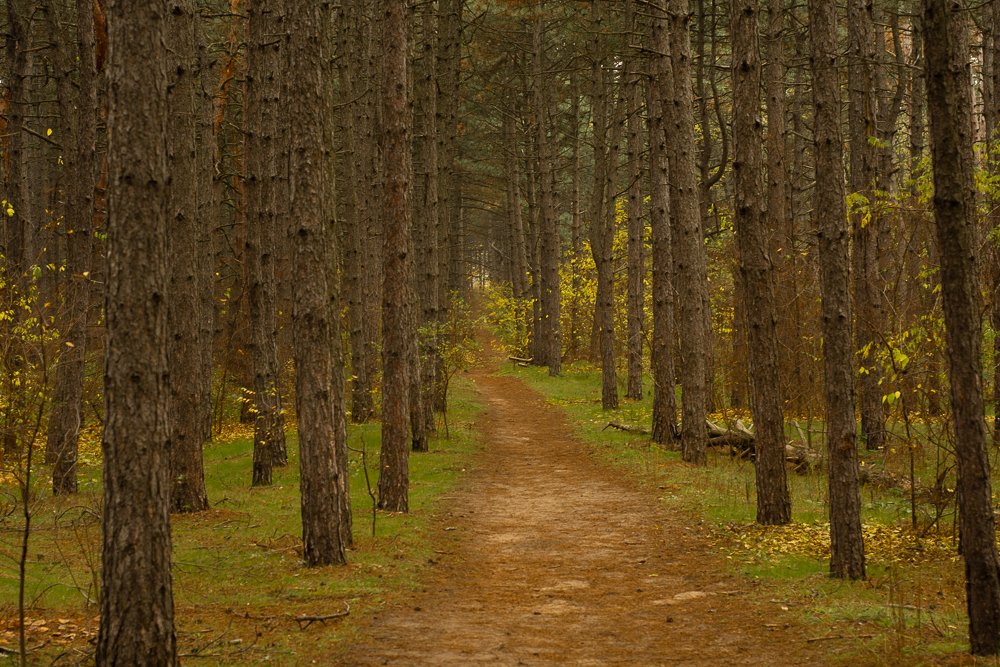 Photograph by Людмила Швец