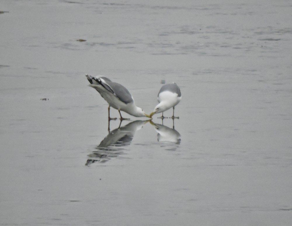 Photograph by Александр Захаров