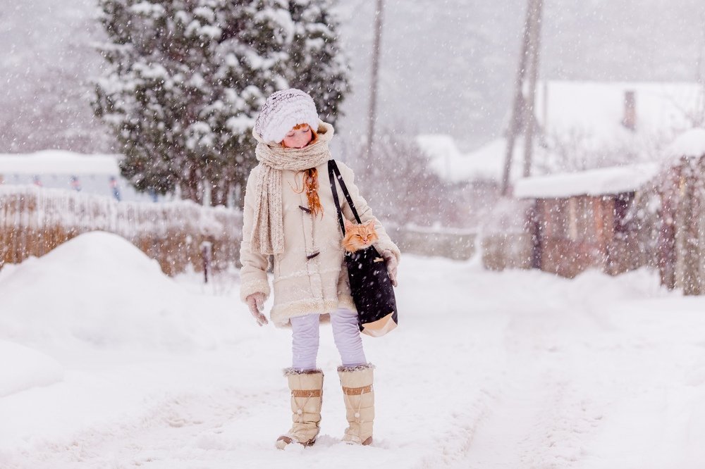 Путешественники