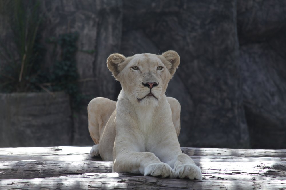 Photograph by Ekaterina Gokceoglu