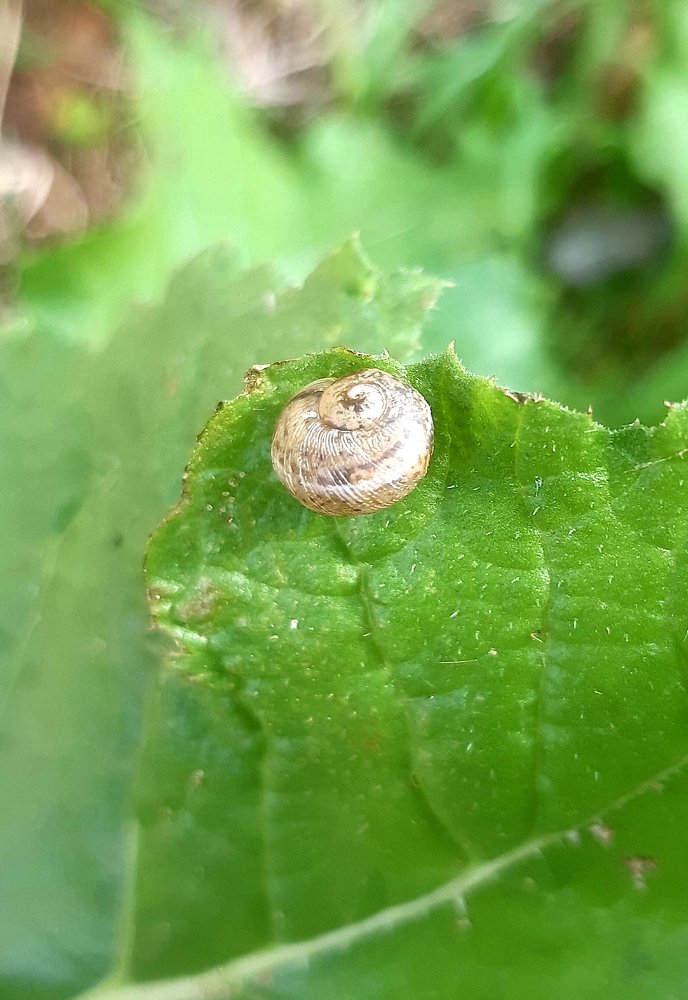 Здравствуй, мир!