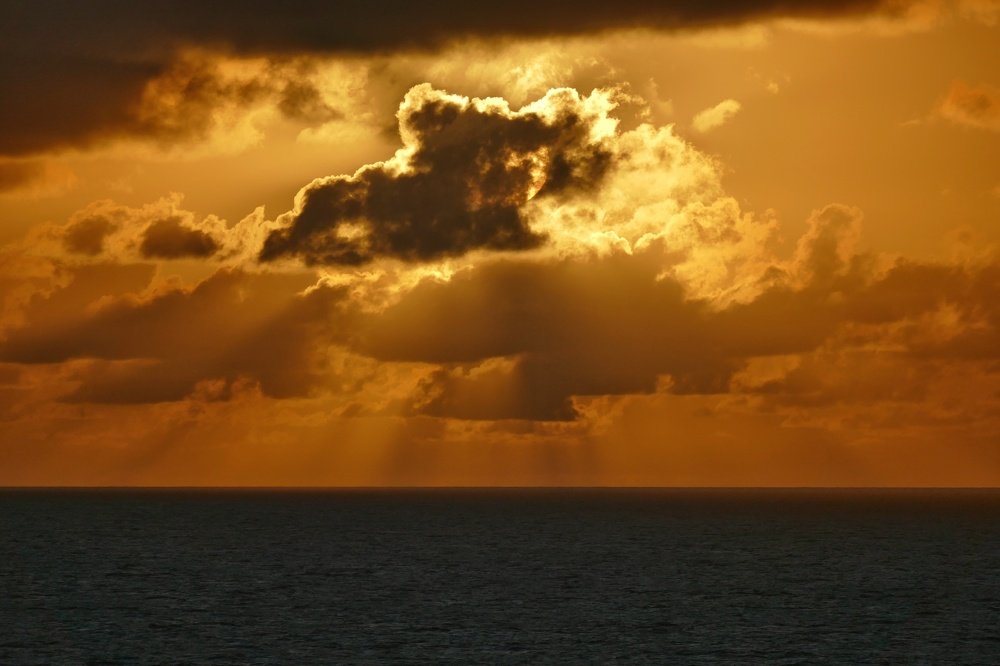 Photo #4371499