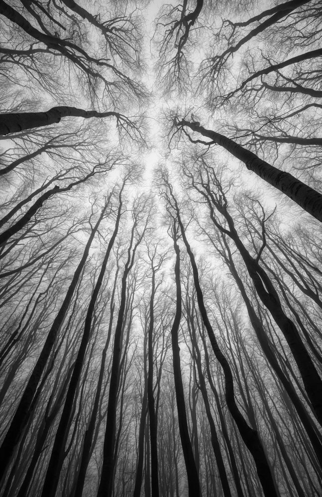 Photograph by Костадин Маджаров