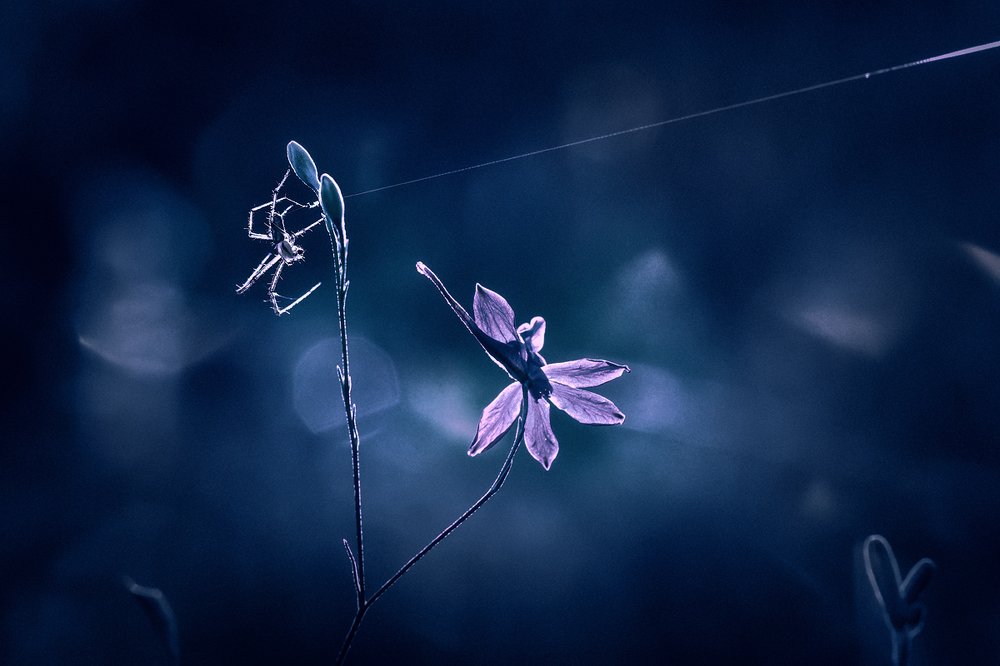 Photograph by Наталья Терентьева