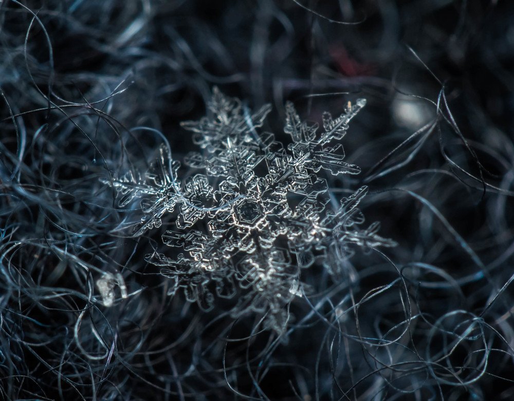 Photograph by Andrey Chernov