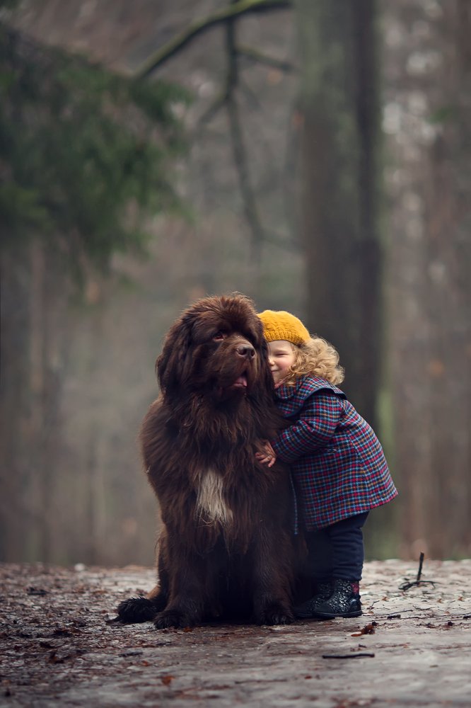 Бублик пополам