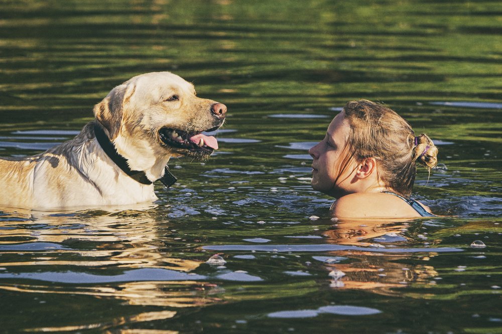 Фотография автора Андрей Серый