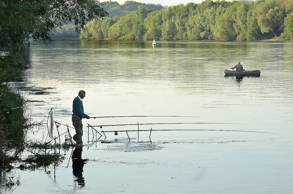 Фотография автора Елена