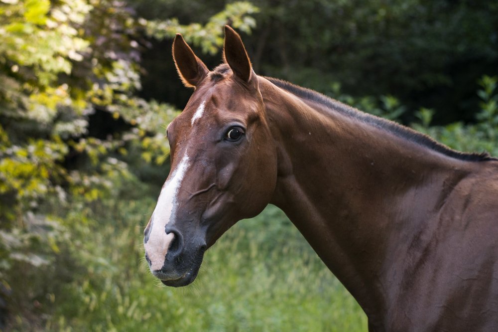 Photograph by Олеся Колитченко