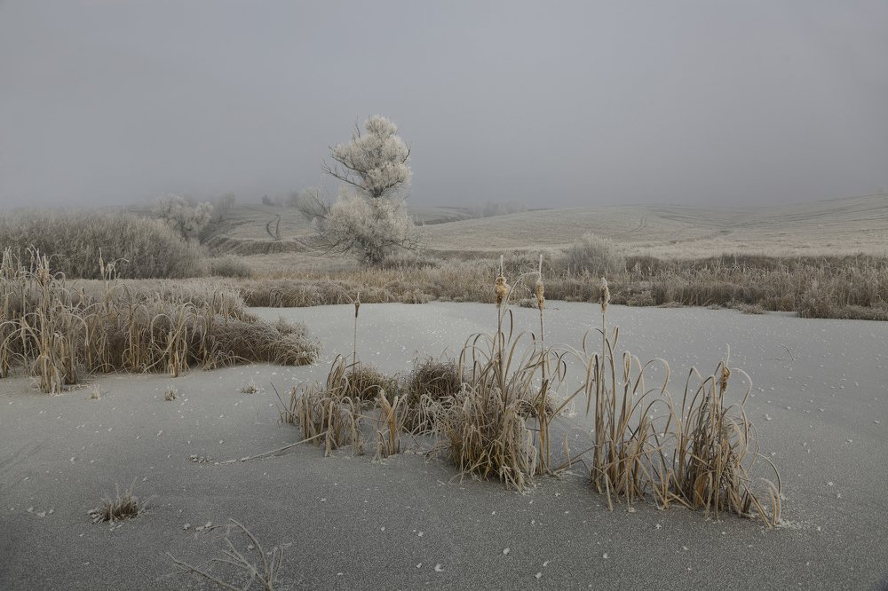 Фотография автора Виктор Кириллов
