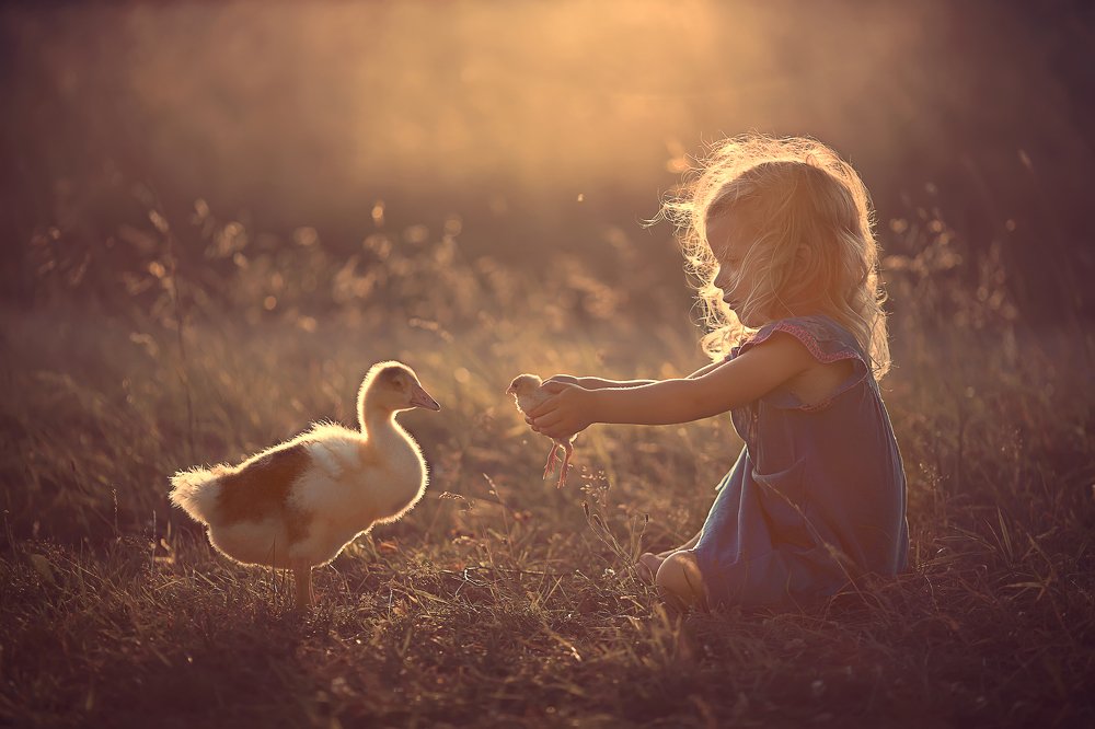 Хорошо в деревне летом!