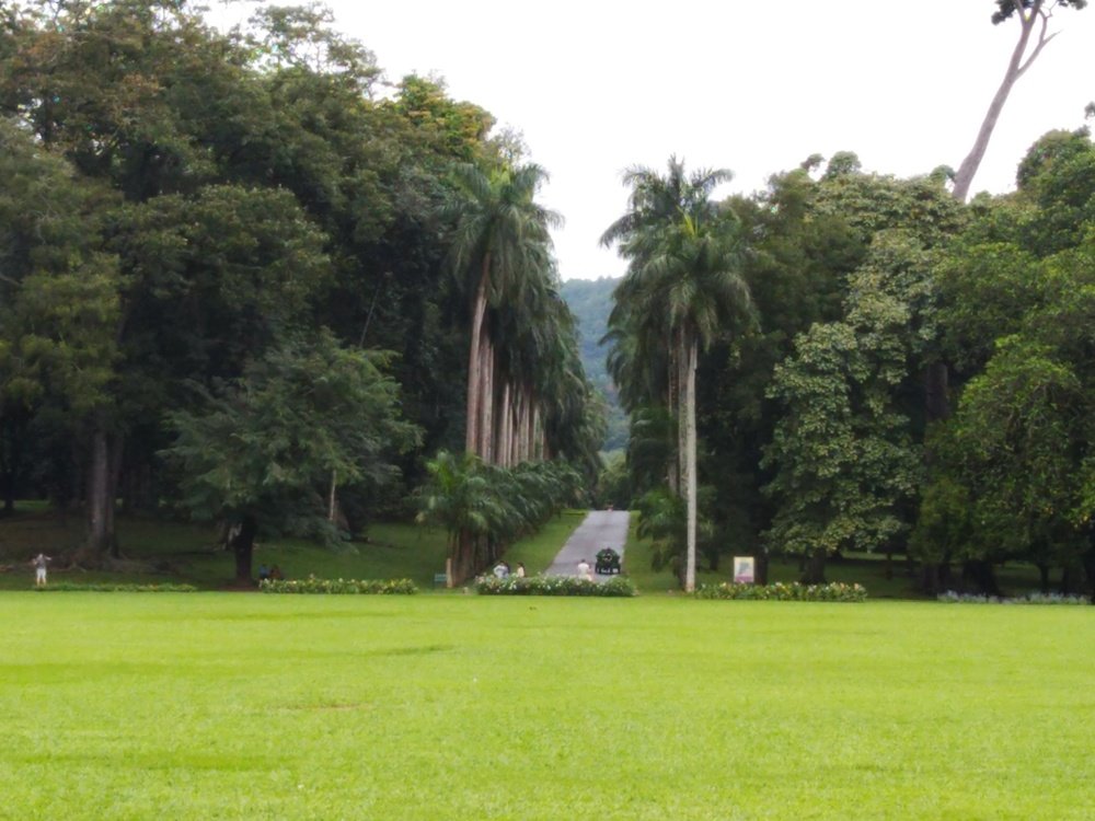 Photograph by Ирина Кулагина