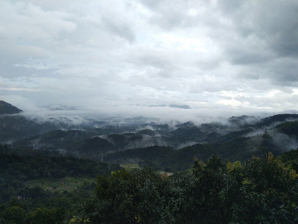 Photograph by Ирина Кулагина