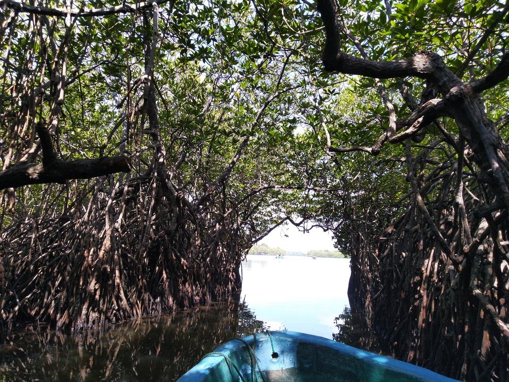 Photograph by Ирина Кулагина