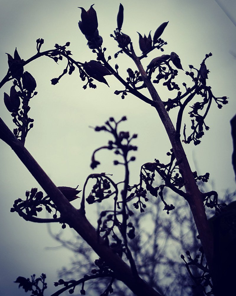 Photograph by Евгений Фесенко