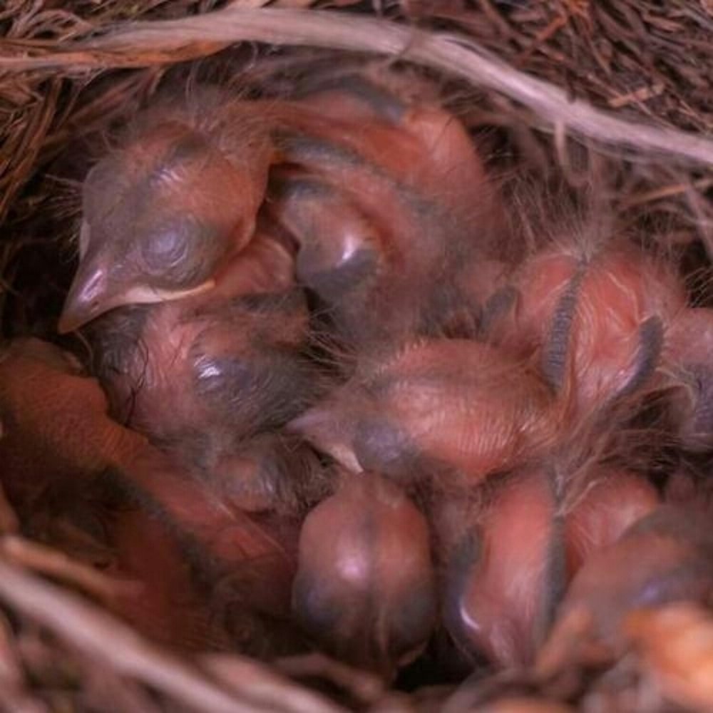 Photograph by Алексей Стрижаков