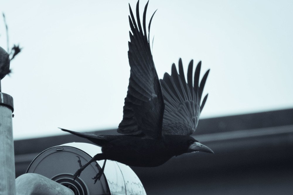 Photograph by Sabina Żmija