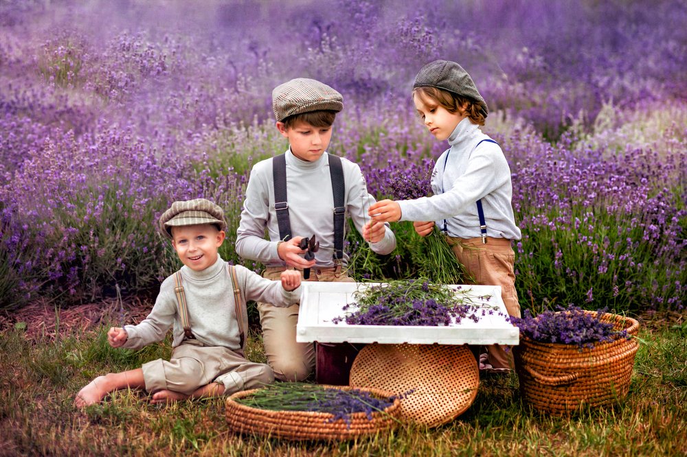 Photograph by Татьяна Новик-Залеская