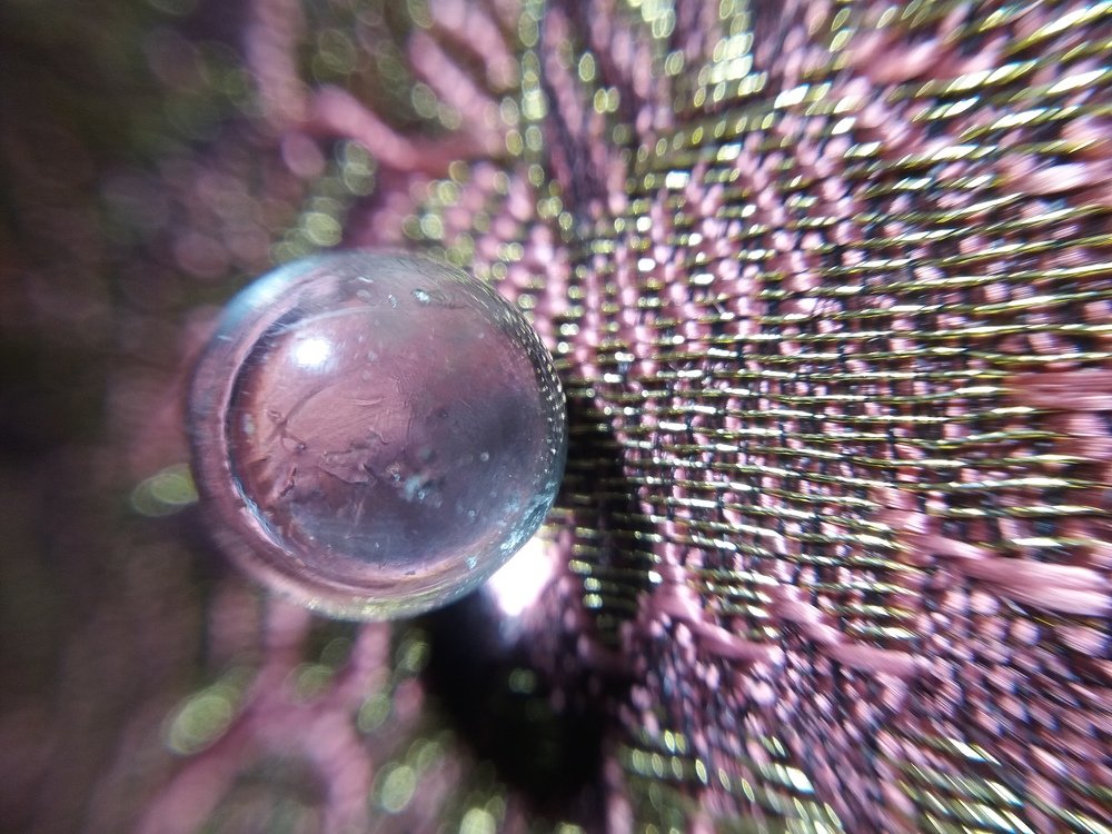 Фотография автора Ася Бабушкина