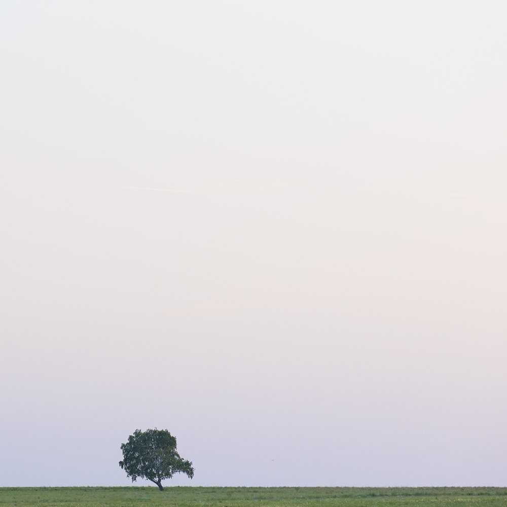 Photograph by Дмитрий Симбаев