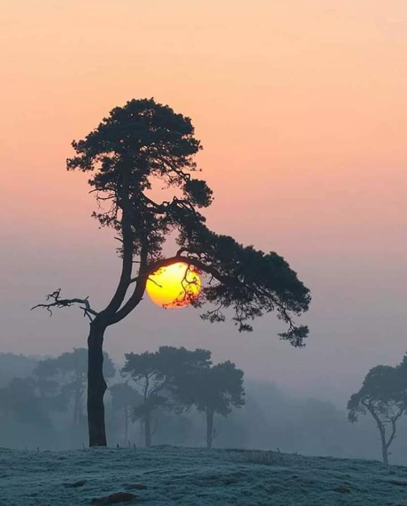 Photograph by Menaahyl Seraj