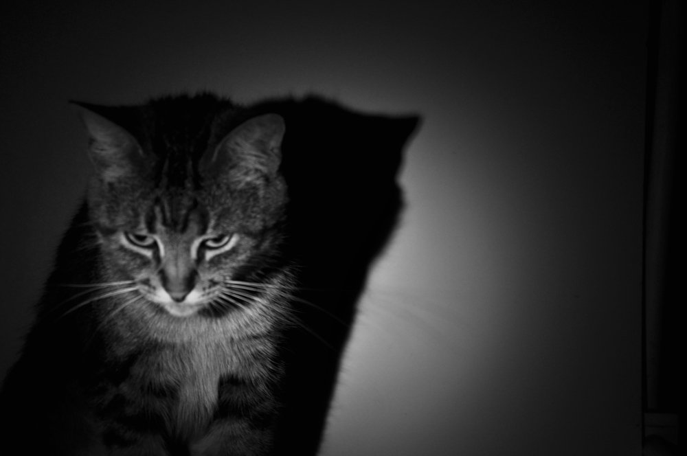 Она не давольна