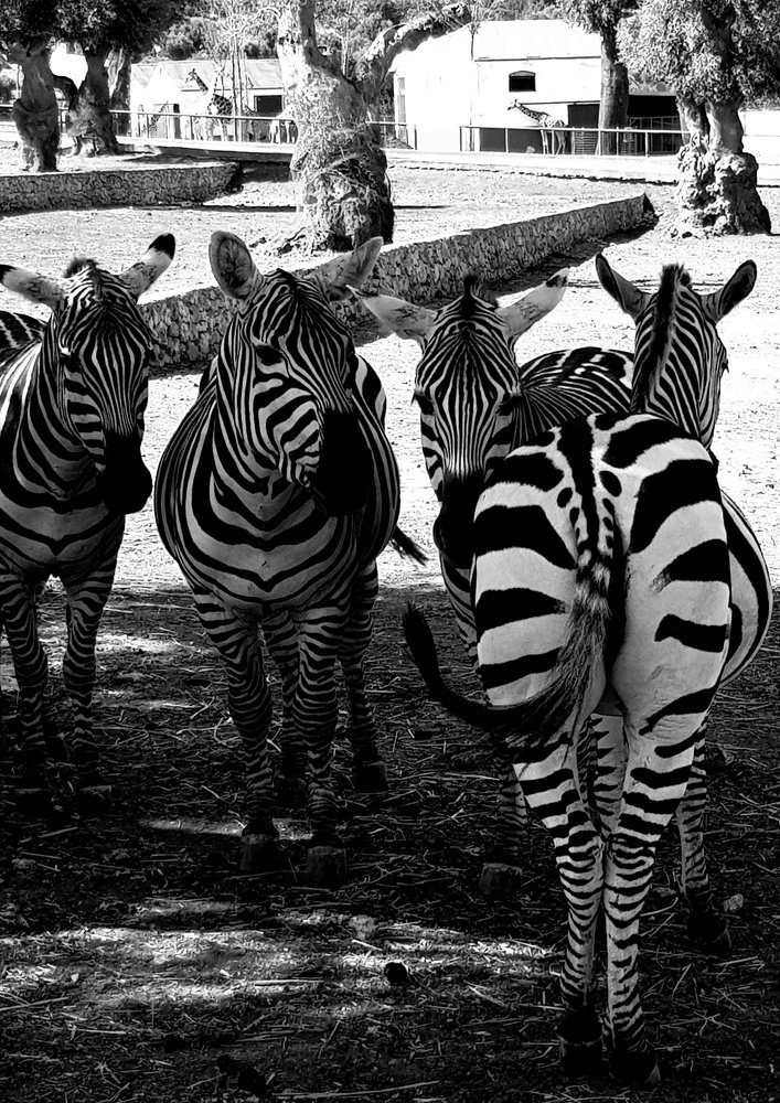 Photograph by Dariya Kilpio