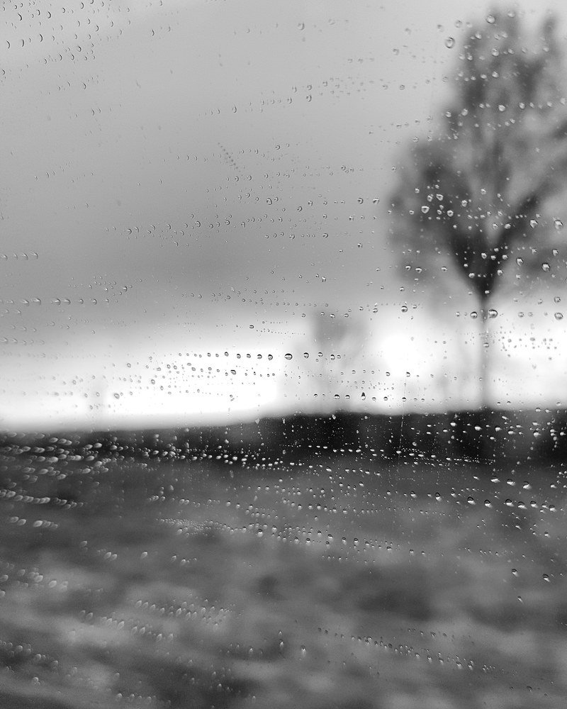 Photograph by Dariya Kilpio
