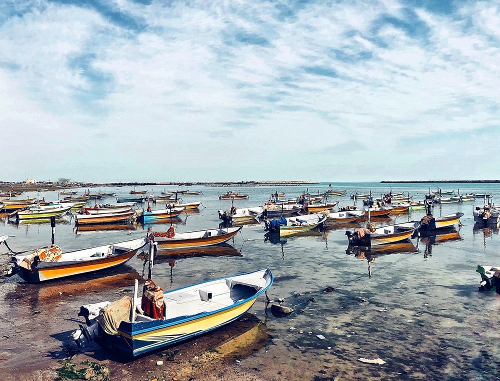 Photograph by Shabnam Qahremanpoor