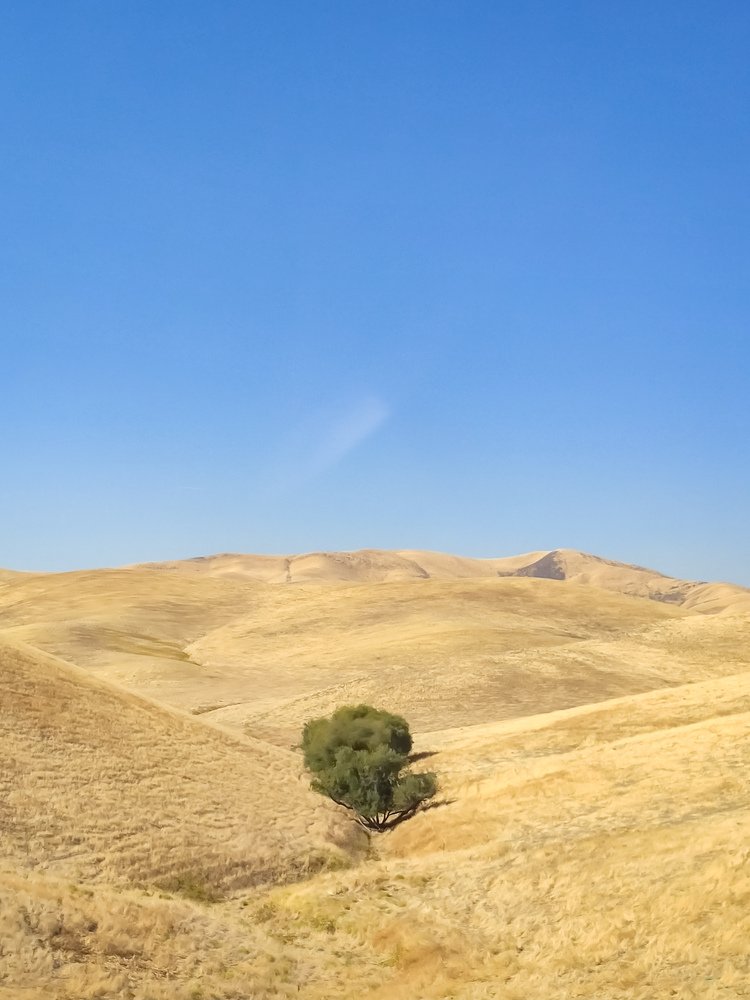 Photograph by Ольга