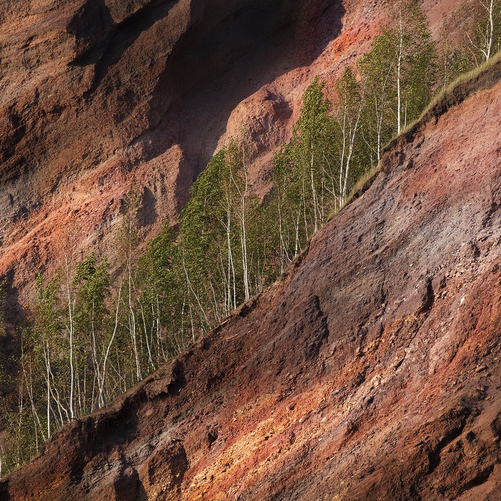 Photograph by Дмитрий Симбаев