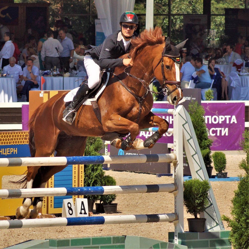 Photograph by Николай Мыльников