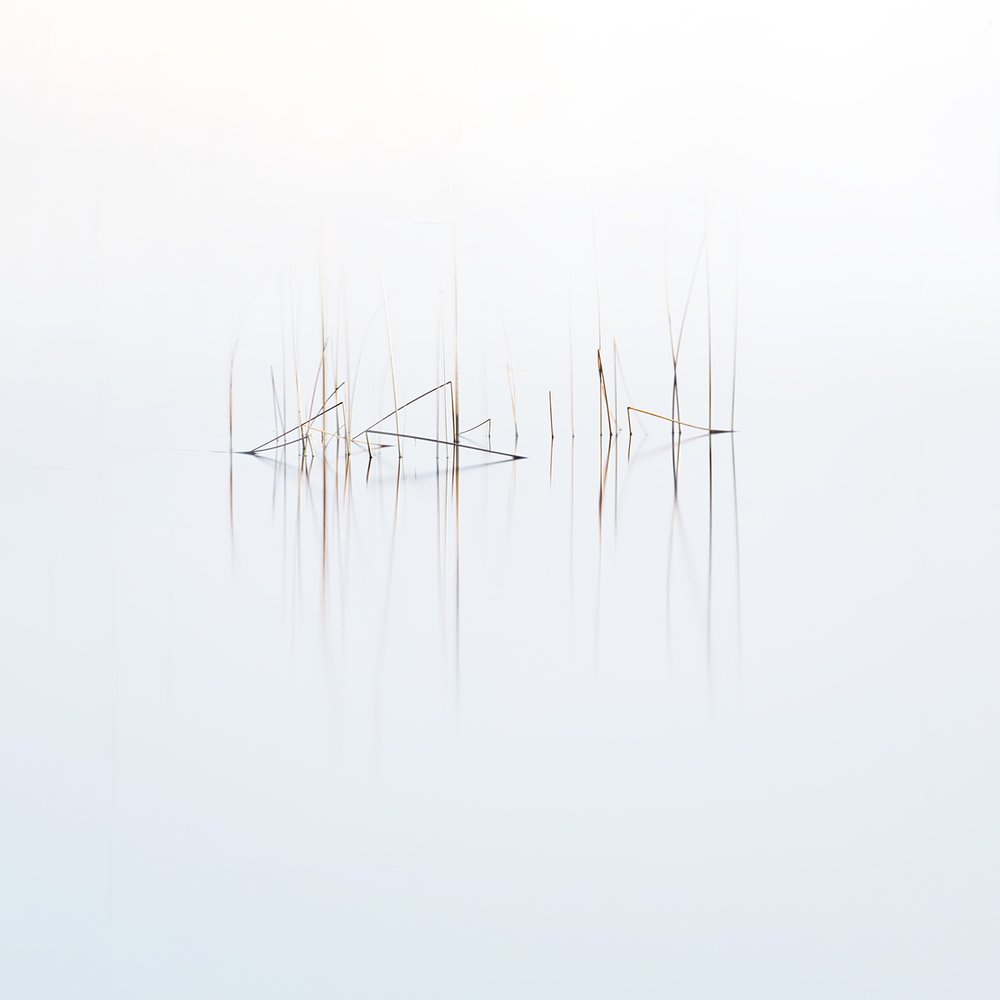 Photograph by Дмитрий Симбаев