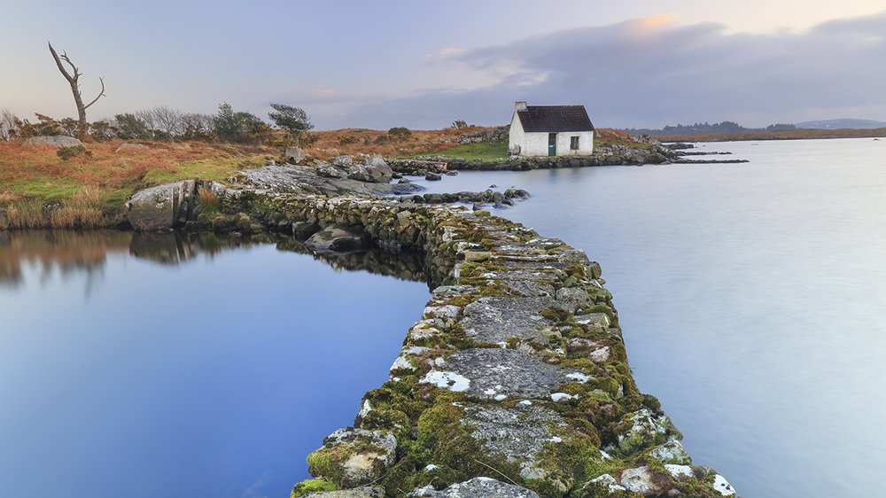 Photograph by Дмитрий Симбаев