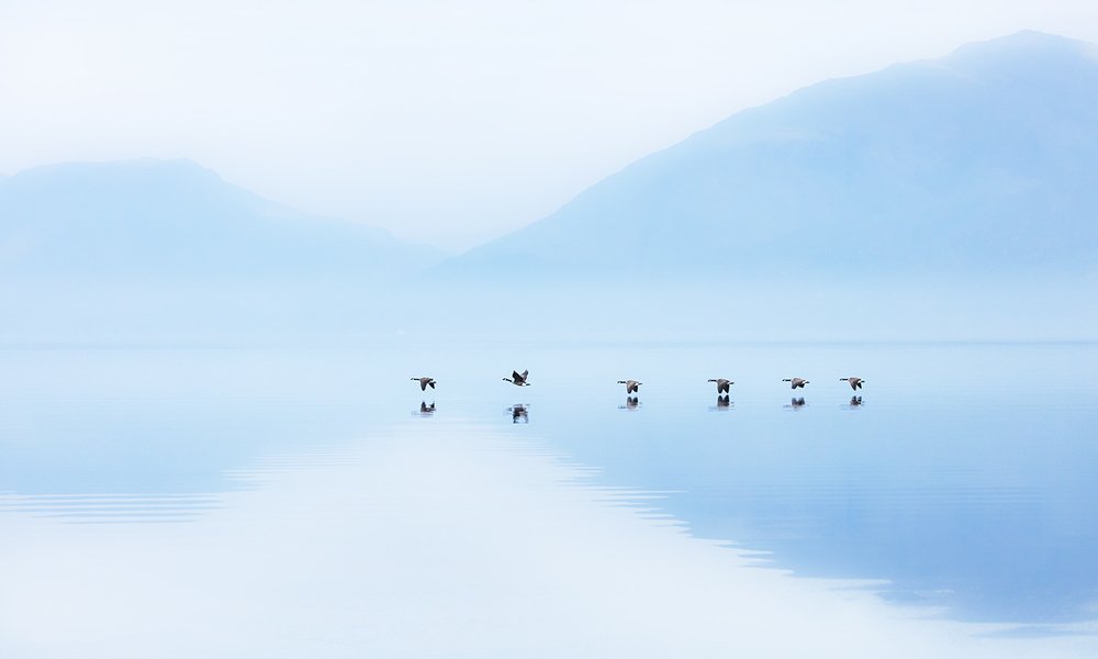 Photograph by Дмитрий Симбаев