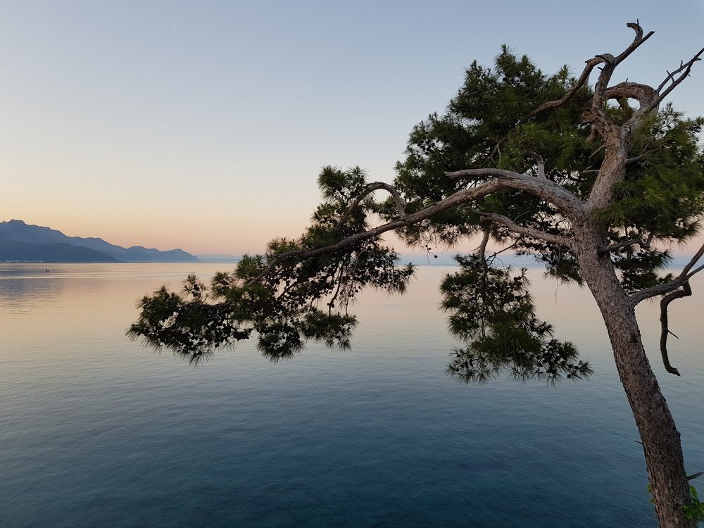 Photograph by Dariya Kilpio