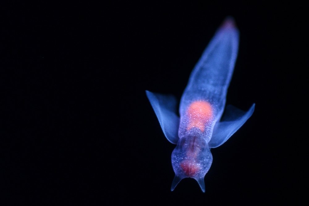 Photograph by Wynn Loner Uy