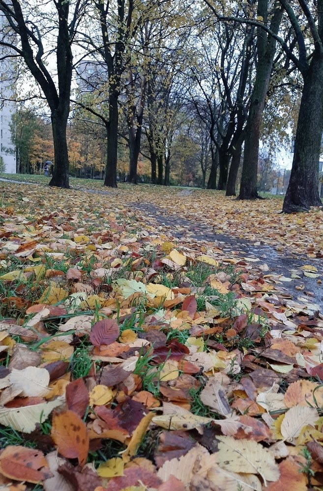 Photograph by Екатерина Попова