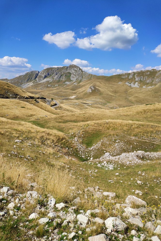 Photograph by Jelena Šmeljova