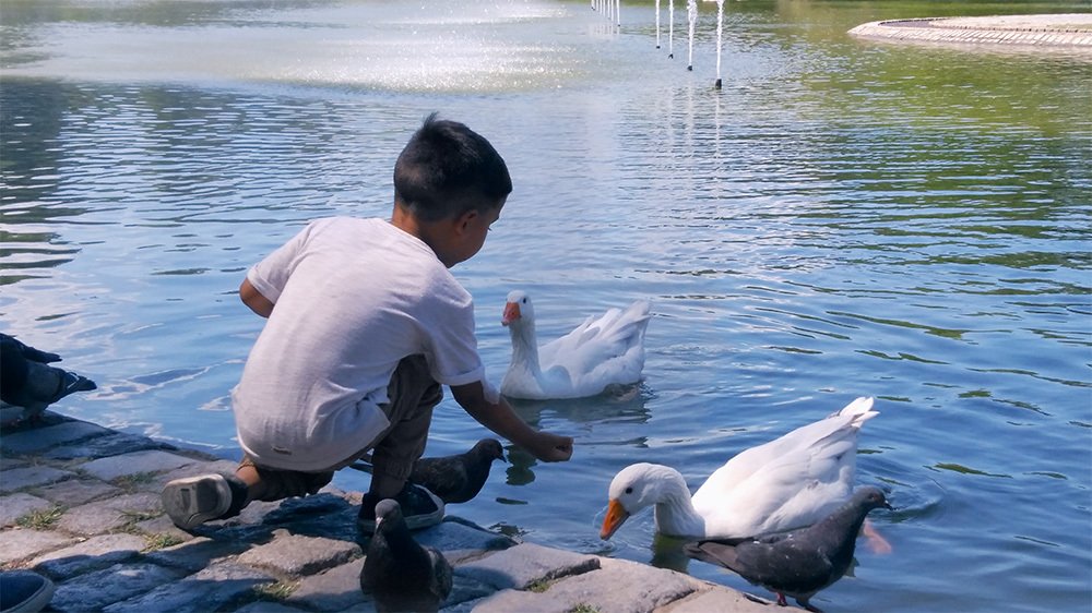 Фотография автора Alicia Rocca