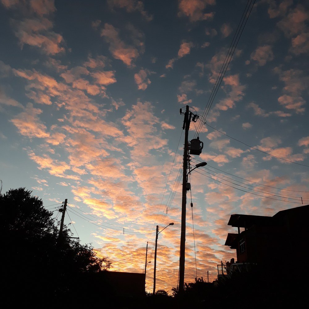 Photograph by Esther Rocha Gonzales